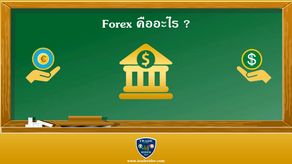 Thai Forex Trading Center - เว็บไซต์ให้ความรู้เกี่ยวกับการลงทุนในตลาด Forex พ อฐาน trade forex