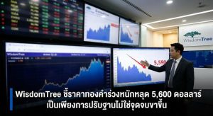 Gold Price, Market Volatility