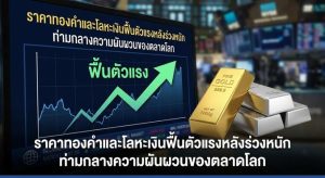 Gold Price, Market Volatility