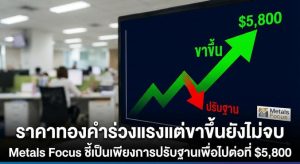 Gold Price, Metals Focus