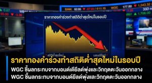 Gold price, WGC analysis