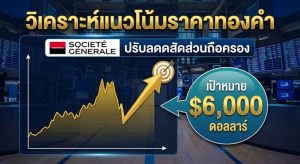 gold volatility, portfolio strategy