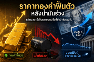 gold price,Fed rate