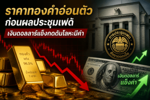 gold price,Fed decision